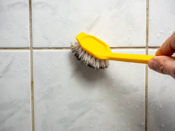 Best Emergency Mold Removal  in Hartford, MI