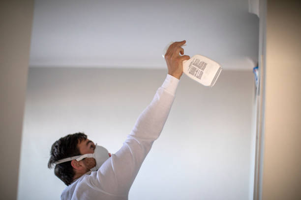 Best Mold Removal Company Near Me  in Hartford, MI
