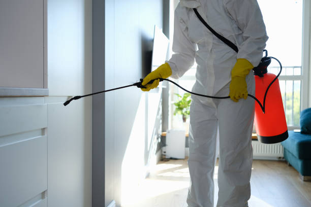 Best Mold Damage Repair  in Hartford, MI